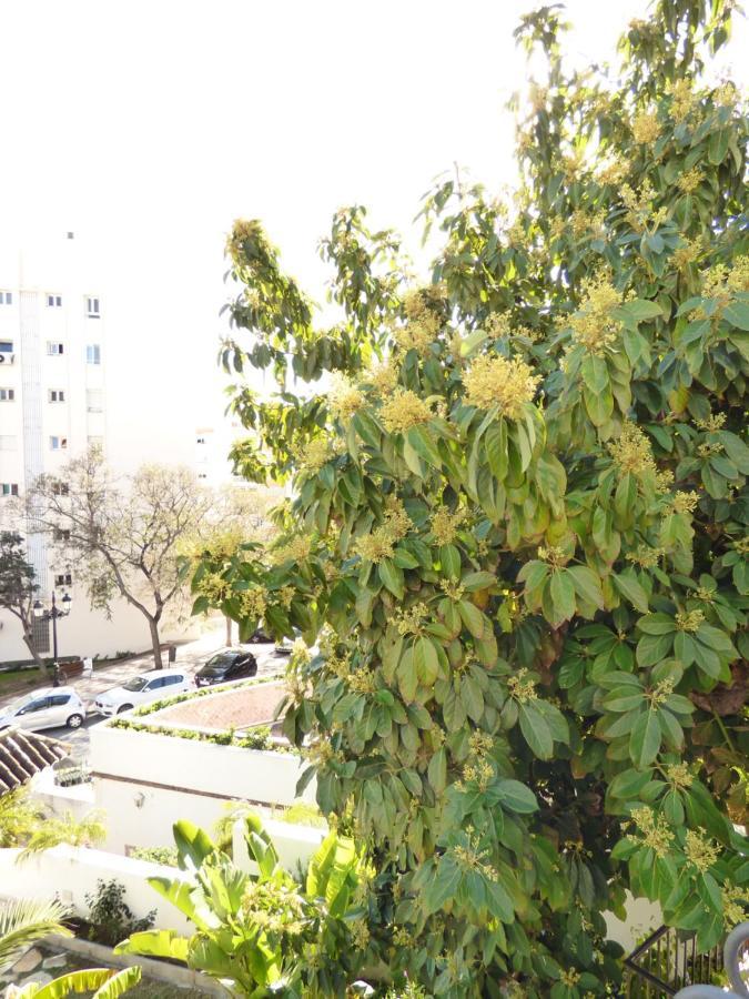 Villa Blanca Marbella Center - Eaw Homes 외부 사진
